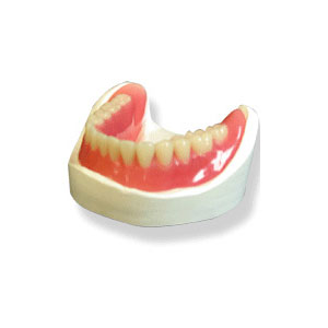 Lucitone FRS Flexible Denture Resin by Global Dental Solutions 