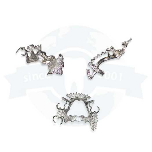 Cast Metal Partials