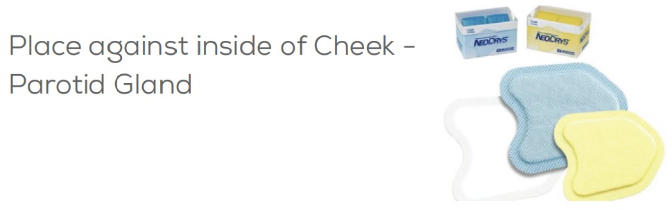 The cheek parotid gland in different colors 